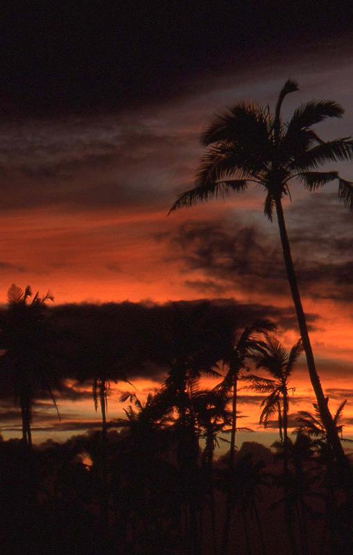 WT 0100 006-32 Fiji.jpg